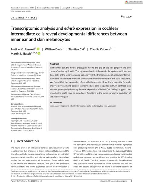 (PDF) Molecular Mechanisms of Neural Crest Induction