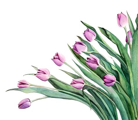 "Purple Tulips" Original Watercolor - Esther BeLer Wodrich