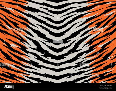 Tiger stripes pattern design, vector illustration background. wildlife fur skin design ...