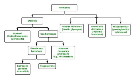 What are Hormones? - Definition, Types, Properties, Functions and FAQs