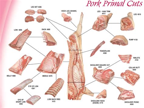 Butcher Pork Cuts Diagram