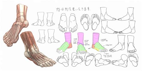 Character Anatomy | Feet