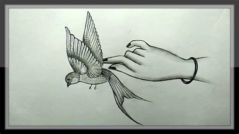 flying Bird Art Drawing - Robin Stdenny