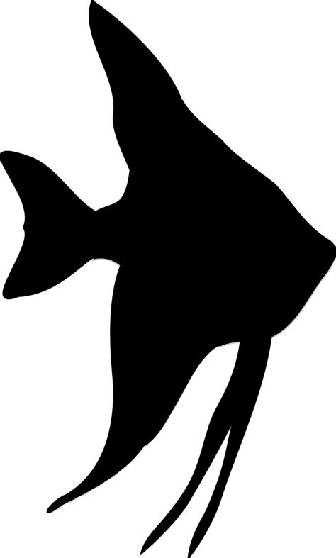 Silhouette Fish Clip art - starfish png download - 770*1280 - Free Transparent Silhouette png ...