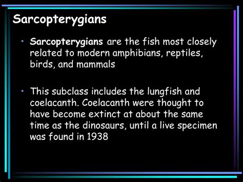 Osteichthyes The Bony Fish. - ppt download