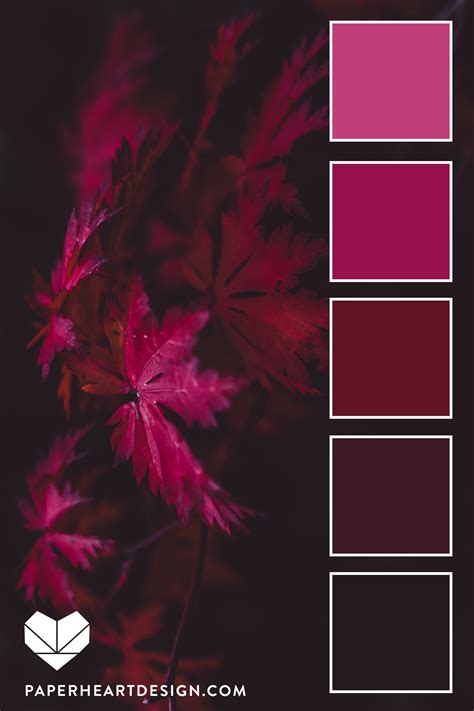 Color Palette: Radiant Reds — Paper Heart Design