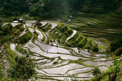 Banaue Rice Terraces Pictures, Photos & Facts - Ifugao,