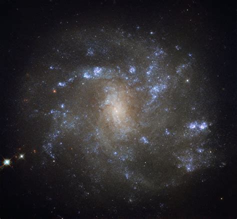 Hubble Space Telescope Views Spiral Galaxy NGC 2500