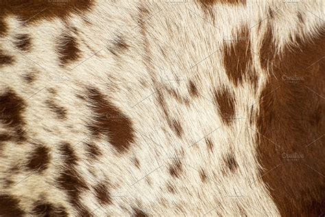 Cowhide Wallpapers - Wallpaper Cave