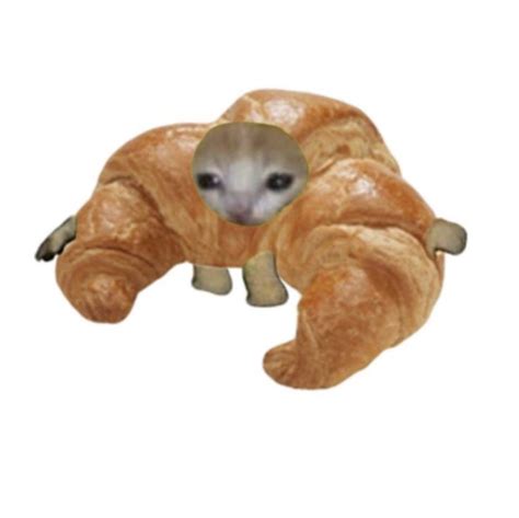 an animal shaped like a croissant laying on top of it's back