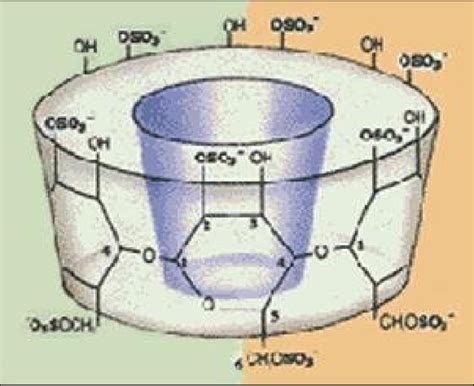 Cyclodextrin Complexes | Download Scientific Diagram