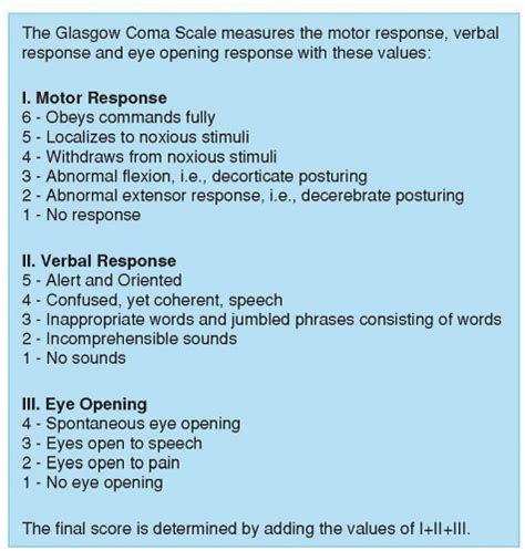 Neurological Assessment | Nurse Key