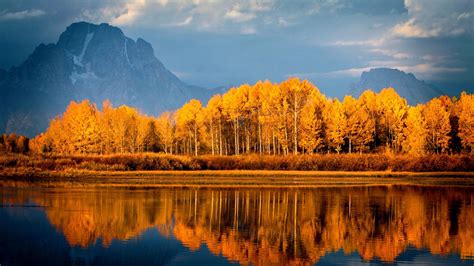 Autumn Trees On Lake, HD Nature, 4k Wallpapers, Images, Backgrounds, Photos and Pictures