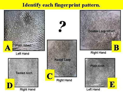 8 th Grade Forensic Science Fingerprint Principles According