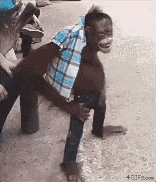 Swag Monkey GIF - Swag Monkey Orangutan - Discover & Share GIFs