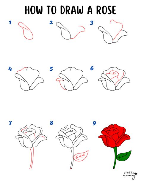 How to Draw a Rose Step by Step (Easy) - Crafty Morning