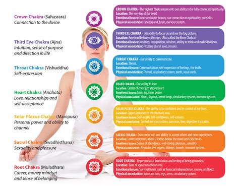 Everything you need to know about Chakras – Pink Posh Fox