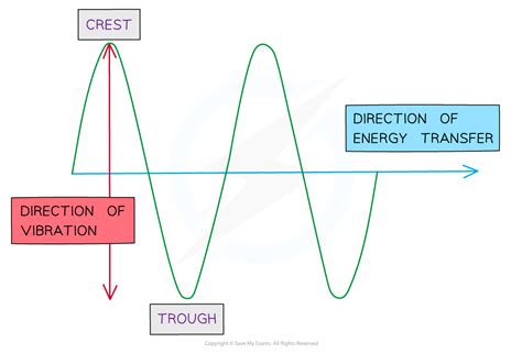 Transverse & Longitudinal Waves (8.2.1) | CIE AS Physics Revision Notes ...