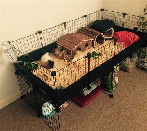 Gallery - C&C Guinea Pig Cages - Mesh and Grid Cages for Pets