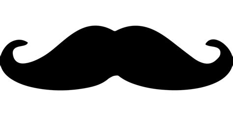 Download Disguise, Mustache, Beard. Royalty-Free Vector Graphic - Pixabay