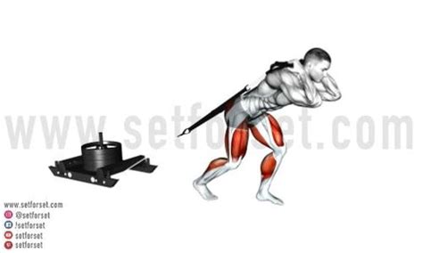 Sled Push & Pull: Benefits, Muscles Worked, & Exercise Variations (2022)