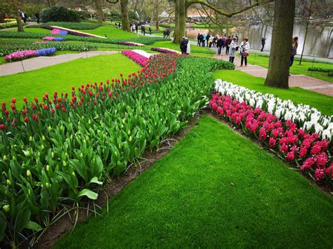 Keukenhof Tulip Garden Travel Tips 2023 • HollandDreams