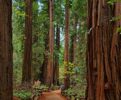 Hidden Gems: 25 Least Crowded U.S. National Parks [50 PICS]