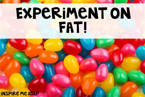 Fat Experiment - Fetish Latex