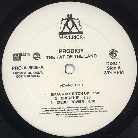 The Prodigy - The Fat Of The Land (Vinyl, LP, Album, Promo) | Discogs