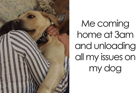 This Facebook Page Is All About Relatable Dog Memes, Here Are 50 Of The ...