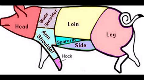 Pig Meat Cuts Chart