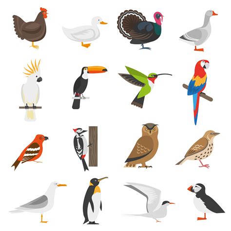 Bird Flat Color Icons Set 472468 Vector Art at Vecteezy