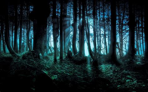 Creepy Woods Wallpaper