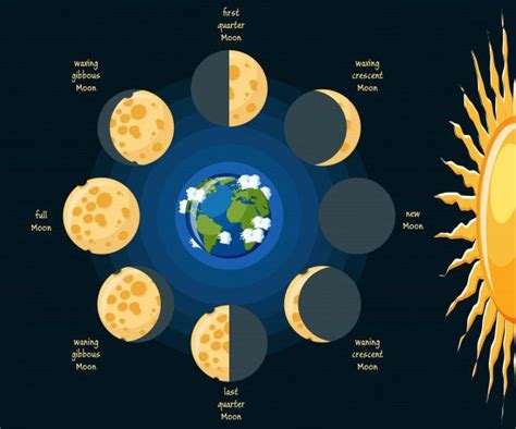 Basic Moon Phases Diagram | Moon phases, Space science, Basic