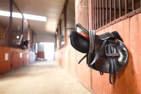 Vegan Horse-Riding Equipment: What You Can Buy and Where – Equestrian Space