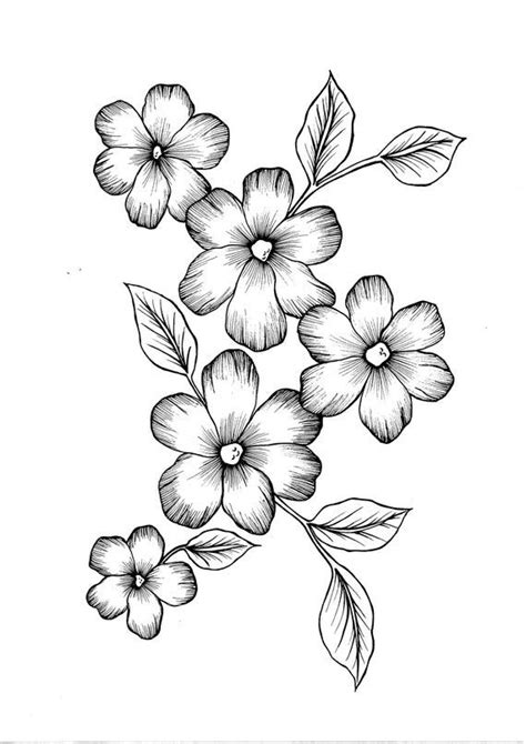 Wild Flowers PDF Coloring Page - Etsy | Easy flower drawings, Flower pattern drawing, Flower ...