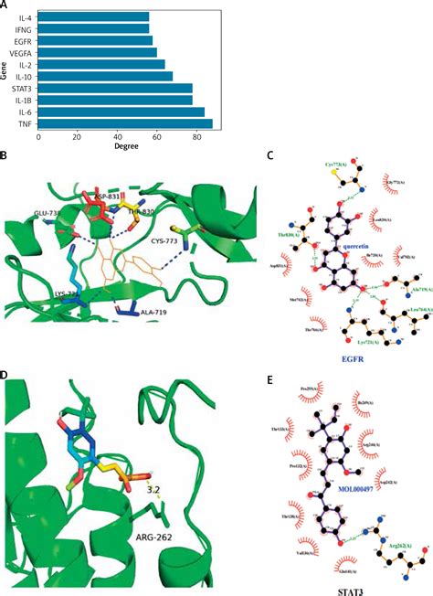 Mechanism of pruritus ani lotion combined with Huajiao-Gancao-Bingpian ...