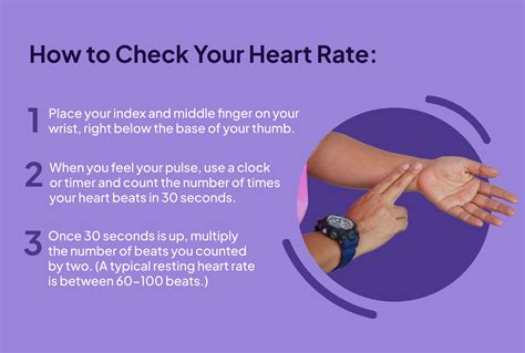 Average Heart Rate: What It Should Be and How to Measure It