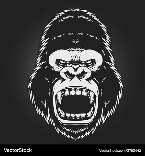 Angry gorilla head Royalty Free Vector Image - VectorStock