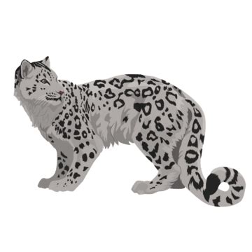 Leopard Animal, Snow Leopard, Zoo Animals, Wild Animals, Vector Design, Vector Art, Leopard ...