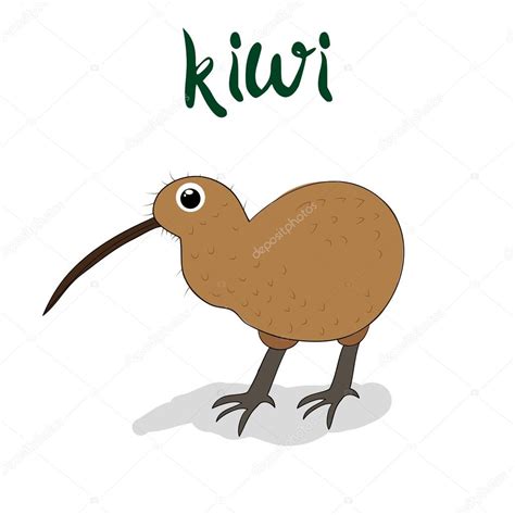 Kiwi Bird Drawing at GetDrawings | Free download