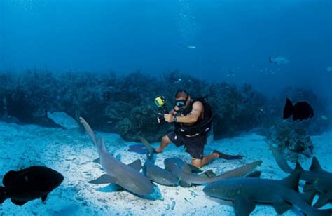 How To Nearly Die Scuba Diving in the Great Blue Hole, Belize