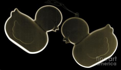 Two Rubber Ducks Photograph by Nick Veasey/science Photo Library | Fine Art America