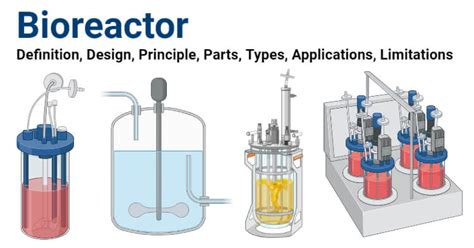 Bioreactor: Design, Principle, Parts, Types, Uses, Diagram