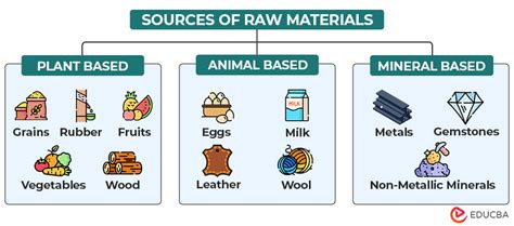 Raw Materials Meaning | Types, Sources & Examples | EDUCBA