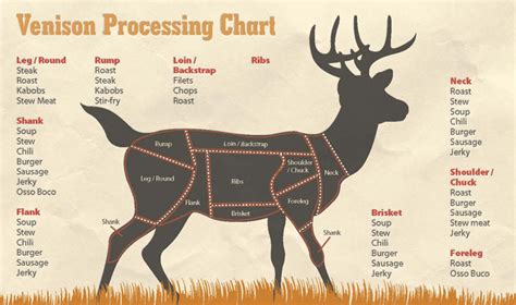 Venison Butchering Diagram