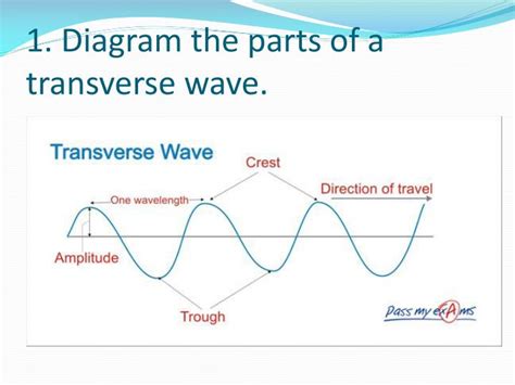 Diagram Of Transverse Wave