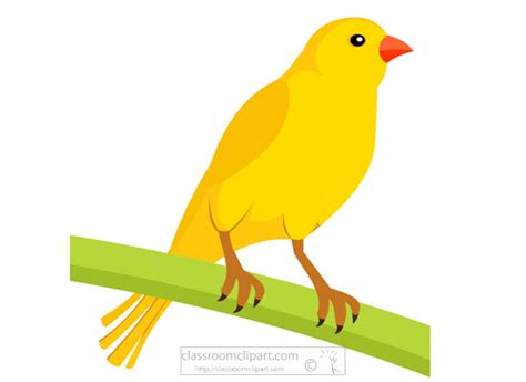 Bird Clipart Clipart - yellow-canary-bird-clipart - Classroom Clipart