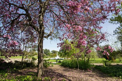 Botanical Gardens Blooming Across the Country - Outdoor Project