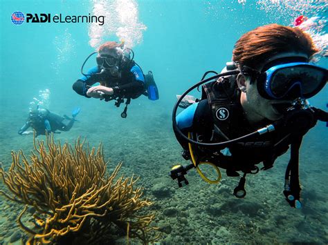 PADI Divemaster – Ocean Lovers Taganga